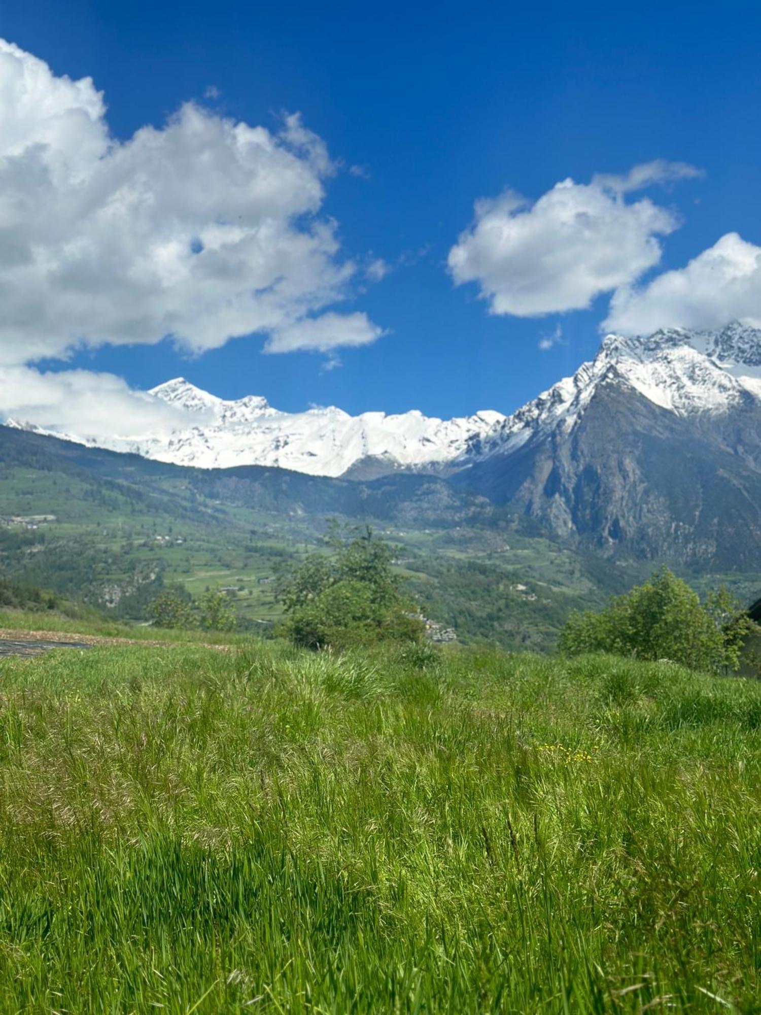 Vila La Tana Dell'Ermellino Arliod Exteriér fotografie